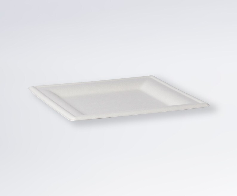 plate-flat-square-sugarcane